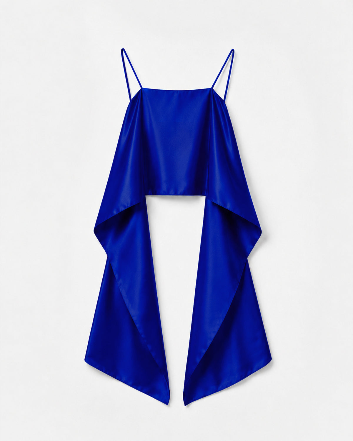 ELECTRIC BLUE PANELS TOP